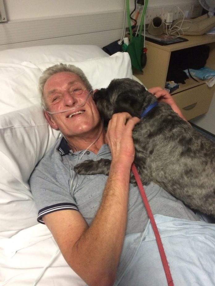 Life saving dog saves owner and becomes hospital therapy dog | Andover ...